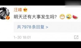 娱乐吃瓜语音是什么,娱乐圈幕后故事大公开