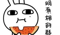 娱乐吃瓜酱很火吗知乎,揭秘网络热词背后的现象与影响力