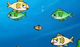 小鱼吃瓜娱乐,揭秘娱乐圈幕后故事，带你领略明星们的真实生活