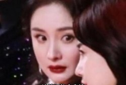 娱乐圈瓜吃不过来