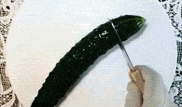 坐等吃瓜表情包gif,表情包gif背后的趣味人生