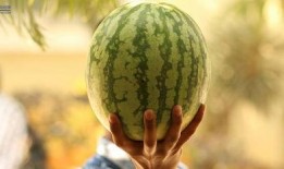 娱乐吃瓜为什么火爆,揭秘网络时代现象级话题的火爆生成