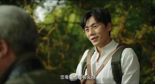 娱乐圈吃瓜八卦灵异小说推荐,揭秘灵异事件与明星八卦的神秘交织