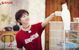 吃瓜娱乐圈王源,娱乐圈的瓜田，他的成长与蜕变